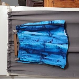 Nike Mens Swim Trunks Blue/Aqua Mesh Lining Drawstring Elastic Sz L EUC